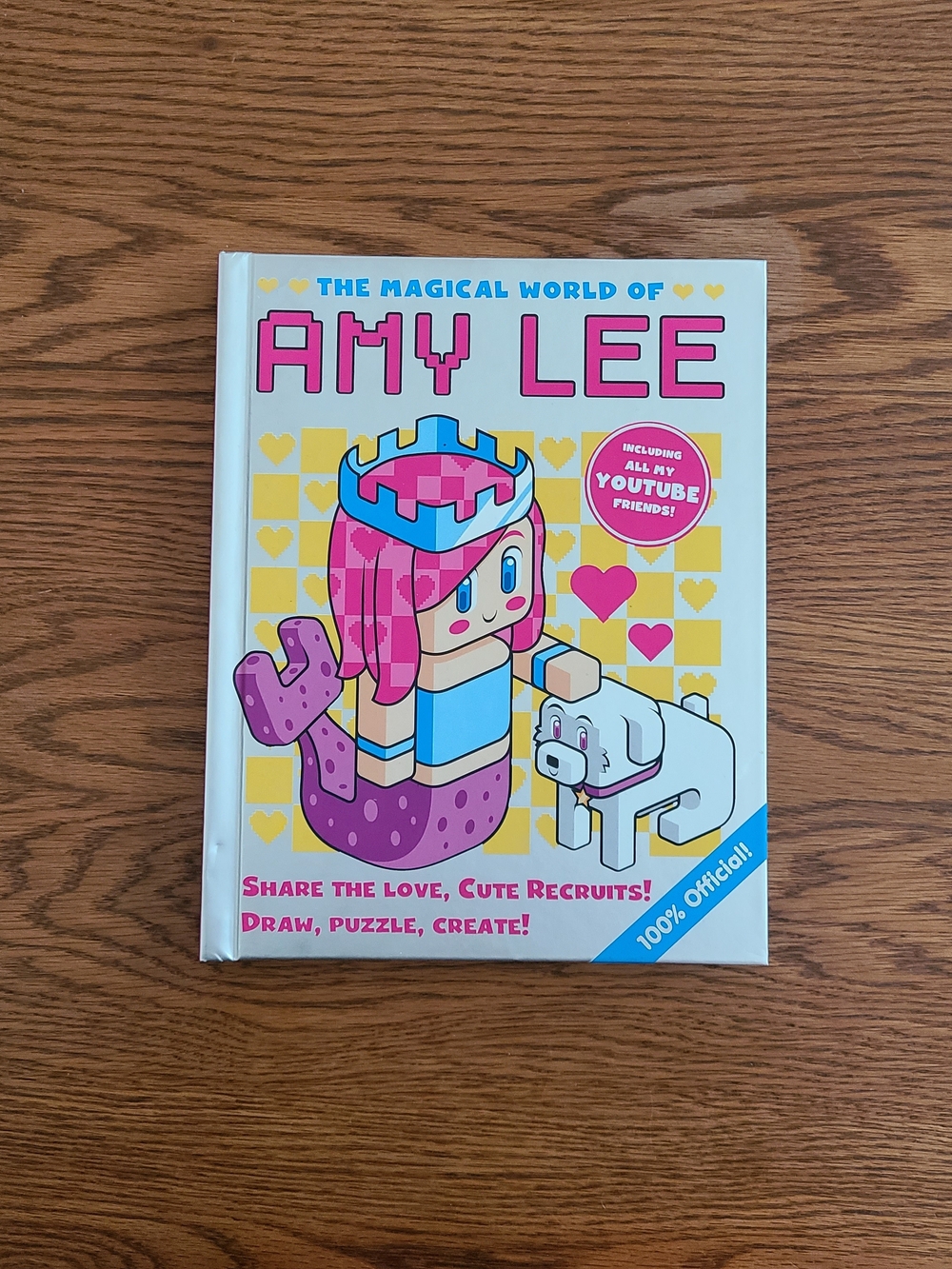 Amy Lee Magical World Activity Book